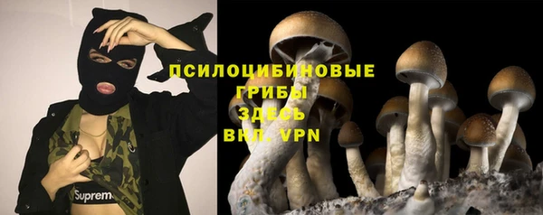 а пвп мука Верхний Тагил