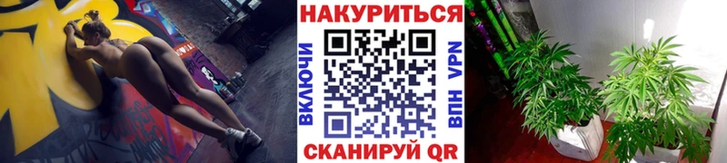 Бошки Шишки сатива  Купить закладки  Кинешма 